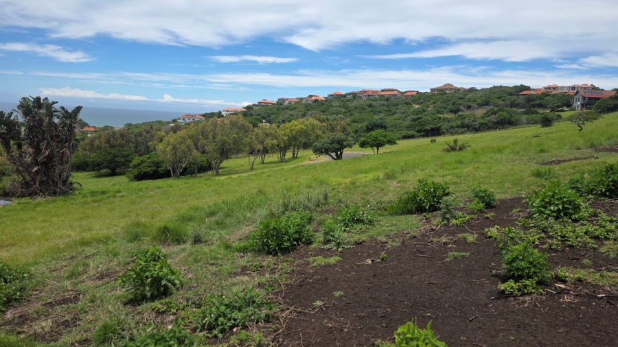 0 Bedroom Property for Sale in Cintsa West Eastern Cape